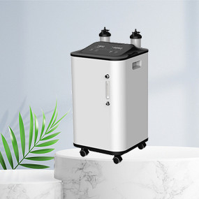 10 Sauerstoff-Generator-Haushalt des Zoll-Anzeigen-großer Fluss-10L lärmarm
