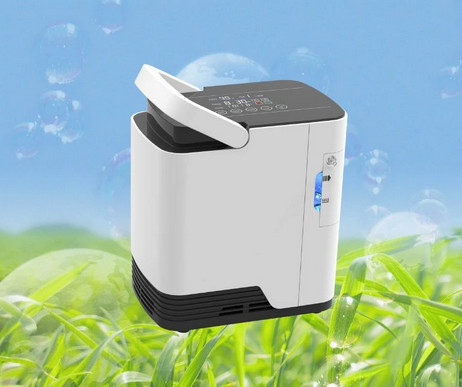 Einflutiges tragbares der 2 Liter-Sauerstoff-Verdichter-Haus verwenden 220v